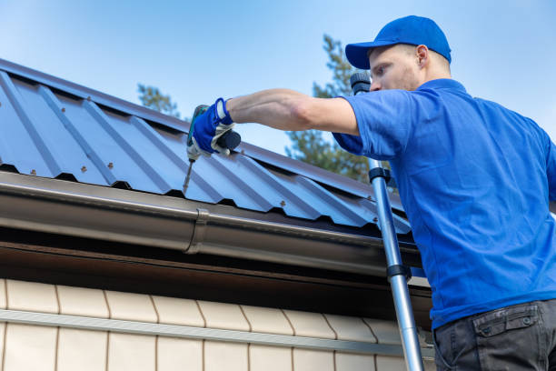 Best Roof Leak Repair  in Clear Lake, SD