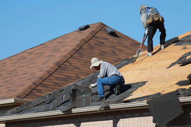 Best Skylight Installation and Repair  in Clear Lake, SD